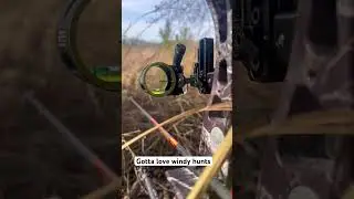 Very windy #florida #hunting #fypシ #bigbuck #windy #florida