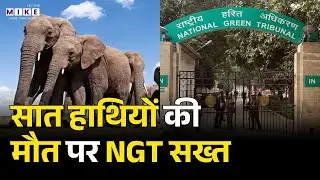 Elephant Death: सात हाथियों की मौत पर NGT सख्त | Latest News | Breaking News