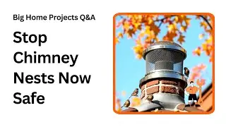 How to Stop Birds and Animals from Blocking Your Chimney
