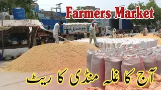 Today wheat Price in Punjab | Wheat Price today | Rice Price today | Munji Ka Rate | Makkii ka Rate