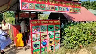 বঙ্গবন্ধু সাফারি পার্ক, গাজীপুর সাফারি পার্ক, সাফারি পার্ক, বাঘের বাজার সাফারি পার্ক, পার্ক পার্ক।