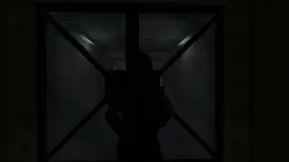 Half-life: Dark c1a0 and c1a0d