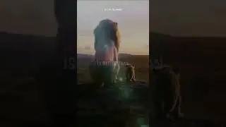 #shortvideo#lionstatus#shortking