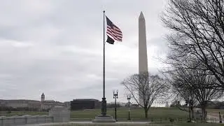 WWII Memorial Flags Waving, 4k