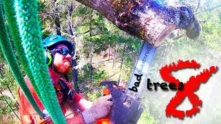 Bad Trees 8