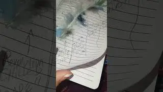 Feather Journal?