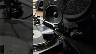  DAIJYOUBUDA - CHOZEN LEE ~here comes trouble riddim~