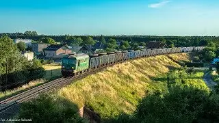 [D29-357] ST43-365 z towarowym relacji Grodzisk - Luboń - Leszno
