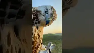 boya.attituds singls boy best attitude whatusapp #vairl #shortvideo #shortvideo #music