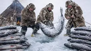 1000 kg Ice Fishing Feast at  71⁰ Yakutia Feeding the whole Family Nomad Survival Battle (ASMR)