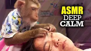 Judy the Monkey ASMR | Premium Scalp & Face Grooming For Deep Calm & Instant Sleep