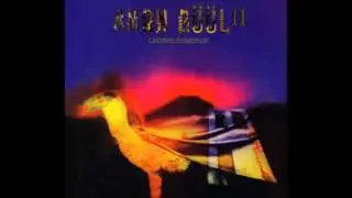 Amon D&uuml;&uuml;l II - 06. Hawknose Harlequin (Carnival in Babylon, 1972)
