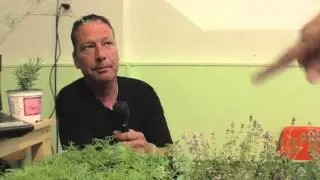 Dordts initiatief: Stadslandbouwkas