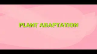 StudyJams Plant Adaptations (2015)