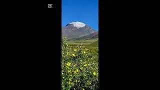 Д.Шийравжамц. Дундраа нь үгүй хайр. Дуулсан Т.Жаргал