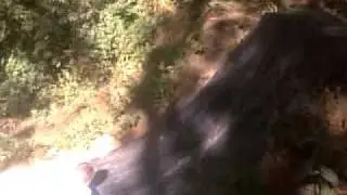 wallace marine park jumps