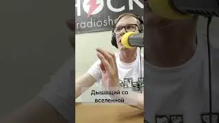 виды гостей на радио