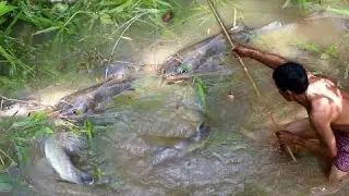 2016 Net Fishing In Battambang Province    Khmer Cast Net Fishing  Cambodia Traditional Fishing  Par