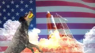 What Does It Feel Like To Open A BarkBox Every Month?