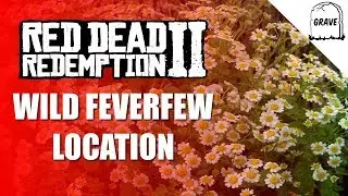 Местоположение Дикого Пиретрума в Red Dead Online | Ежедневное испытание