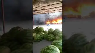 حرق شيشان الكوت