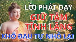 Phật Dạy: Hãy Tập Tâm Tĩnh Lặng, Khổ Đau Tự Nhỏ Lại — Mất Ngủ Cũng Dịu Dần