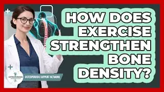 How Does Exercise Strengthen Bone Density?