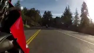 Hecker Pass ZX-12R R1 GSX-R 750