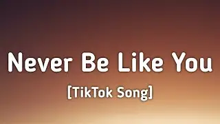 Flume - Never Be Like You ft. Kai (Lyrics) 