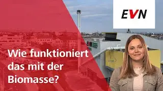 Wie funktioniert das mit der Biomasse? - Energiewissen