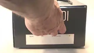 Stock Shoes