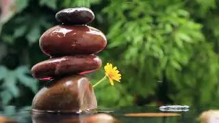 Traditional Chinese Music / Natural rocks and water drops on top in tropical summer forest