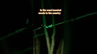 Most haunted woods in the UK! Dering woods Nr Pluckley - the screaming woods! #wildcamping #haunted