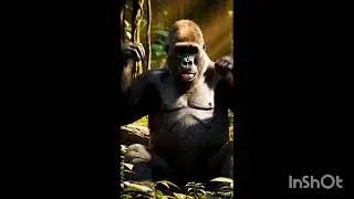 Subscribe please @FunnyMike225 @Esakirajan-ed4ce #viral #animals #animalshorts 