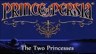 Prince of Persia - Two Princesses LeveL 19  tutorial - last