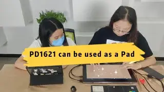 GAOMON PD1621(4K) Pen Display Graphic Tablet with Screen can be Used as a Pad