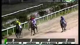01/07/2013, Corridonia , Premio Isola D'elba