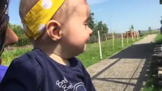 MINI GOATS, RABBITS, CHICKEN AND MORE!!!