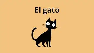 Aprende los colores usando el verbo SER