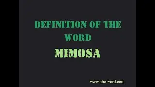 Definition of the word 