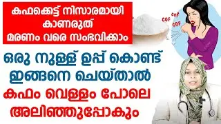 ഒരു നുള്ള് ഉപ്പ് കൊണ്ട് ഇങ്ങനെ ചെയ്താൽ കഫം വെള്ളം പോലെ അലിഞ്ഞുപ്പോകും