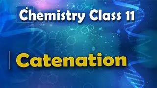 Catenation - P Block Elements - Chemistry Class 11