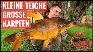 Dicke &Uuml;berraschung: Gro&szlig;er Karpfen aus kleinem Teich - Gregor trifft den Profi