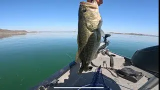 Baztec at Diamond Valley Lake
