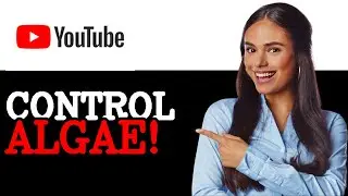 How To Fix Fish Tank Get Algae So Fast How To Control Algae In Your Fish Tank (2025)