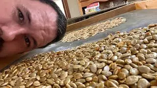 SEEDS WE HAVE AVAILABLE TO YOU