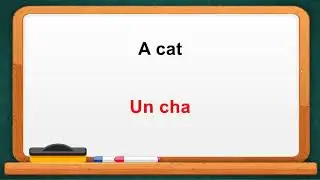 Learn Domestic Animals in French.