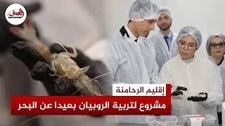 باستثمار 100 مليون درهم.. مشروع رائد لتربية الروبيان بإقليم الرحامنة يكسر قاعدة 