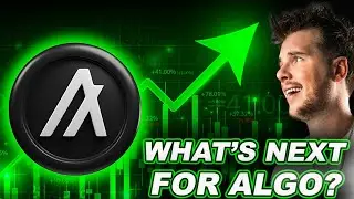 Я полностью за ALGO! (Объяснение розничной кампании &mdash; ПОЛУЧАЮЩИЙ ПРИБЫЛЬ)