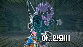 투기장에 있는 그 녀석 - 초회차 닌텐도 스위치2 [젤다의 전설:야생의 숨결]